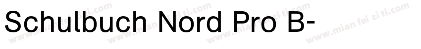 Schulbuch Nord Pro B字体转换